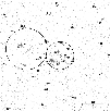 \begin{figure}
\resizebox{8.8cm}{!}{\includegraphics[clip]{H4504F1.eps}}
\end{figure}