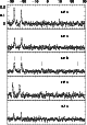 \begin{figure}
\par\resizebox{7cm}{!}{\includegraphics{FIG6.eps}}\end{figure}