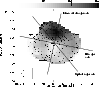 \begin{figure}
\par\epsfig{file=H4528F4.ps,width=8.8cm}\end{figure}