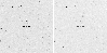 \begin{figure}
\par\mbox{\includegraphics[width=4.3cm]{ms3829.f1a.ps} \includegraphics[width=4.3cm]{ms3829.f1b.ps} }
\end{figure}