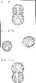 \begin{figure}
\par\includegraphics[width=6.3cm,clip]{aa3829f6.eps}
\end{figure}