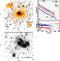 \begin{figure}
\par\begin{picture}
(18,18)
\put(0,9){{\psfig{figure=H4029F36.eps...
...11.7,9.15){\sf (d)}\put(11.0,3.0){\parbox{7.0cm}{} }
\end{picture}\end{figure}