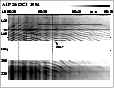 \begin{figure}
\par\hbox to \hsize{\hfill\epsfig{file=MS4049f4.eps,scale=0.3} %
\hfill}\end{figure}