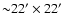 ${\sim } 22' \times 22'$