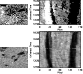 \begin{figure}
\par\resizebox{7.2cm}{!}{\includegraphics{3354f9.eps}}
\end{figure}