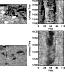 \begin{figure}
\par\resizebox{5.7cm}{!}{\includegraphics{3354f10.eps}}
\end{figure}