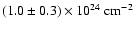 $\rm (1.0 \pm 0.3) \times
10^{24}\ cm^{-2}$