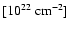 $[\rm 10^{22}\ cm^{-2}]$