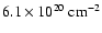 $6.1\times 10^{20}~\rm {cm^{-2}}$