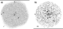 \begin{figure}
\par\psfig{figure=H2676F1.ps,width=18cm}\end{figure}