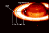 \begin{figure}
\par\includegraphics[width=8.8cm,clip]{h4506f1N.eps}\end{figure}
