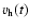 $v_{\rm h}(t)$