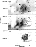 \begin{figure}
\par\includegraphics[width=13cm,clip]{brooks_fig10.eps}\end{figure}