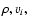 $\rho,
v_{i},$