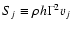$S_j \equiv \rho h \Gamma^2 v_j$