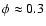 $\phi\approx 0.3$