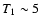 $T_{1} \sim 5$