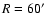 $R=60^\prime$