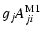 $\displaystyle g_jA^{\rm M1}_{ji}$