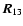 $\vec{R}_{13}$