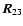 $\vec{R}_{23}$