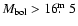 $M_{\rm bol}>16\hbox{$.\!\!^{\rm m}$ }5$
