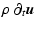 $\displaystyle \rho~\partial_{t}\vec{u}$