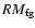 $RM_{{\rm fg}}$