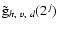 $\gtil_{h,~v,~d}(2^j)$