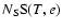 $N_{\rm S}{\rm S}(T,e)$