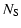 $\displaystyle %
N_{\rm S}$