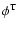 $\phi ^{\rm T}$