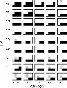 \begin{figure}
\par\includegraphics[width=8.5cm,clip]{fig11.eps}
\end{figure}