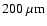 ${\rm 200~\mu m}$