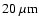 ${\rm 20~\mu m}$