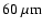 ${\rm 60~\mu m}$