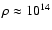 $\rho \approx 10^{14}$