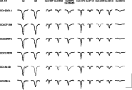 \begin{figure}
\par\includegraphics[width=16.2cm,clip]{4006.f2}
\end{figure}