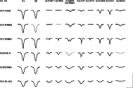 \begin{figure}
\par\includegraphics[width=16.5cm,clip]{4006.f5}
\end{figure}
