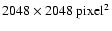 $2048 \times 2048~ {\rm pixel}^2$