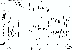 \begin{figure}
\par\includegraphics[clip,width=6.3cm]{H4450F7.eps}\end{figure}