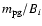 $m_{\rm pg}/B_i$