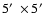 $5\hbox{$^\prime$ }\times5\hbox{$^\prime$ }$
