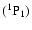 $\rm (^1P_1)$