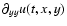 $\partial_{yy} u(t,x,y)$