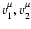 $v_1^\mu,v_2^\mu$