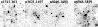 \begin{figure}
\includegraphics[width=8.5cm,clip]{aa0533f7.eps}\end{figure}