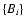 $\{B_i\}$