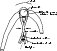 \begin{figure}
\par\includegraphics[width=5cm,clip]{0249fig12.ps}
\end{figure}