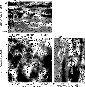 \begin{figure}
\par\includegraphics[width=14.5cm,clip]{0253_f3.eps}
\end{figure}